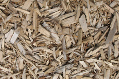 biomass boilers Bieldside
